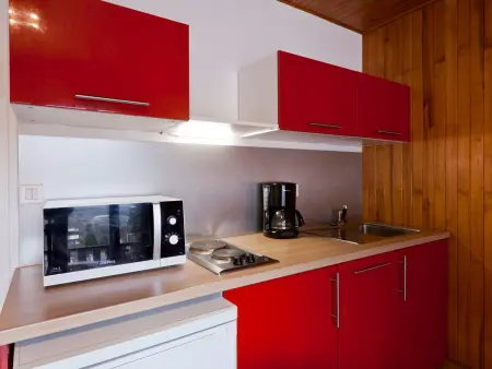 Studio 28 m² balcon vue Vanoise à Brides-les-Bains : photo 4