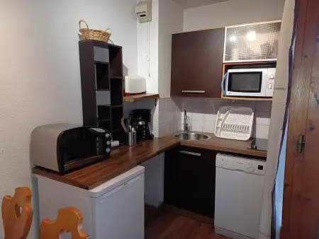 Studio 28 m² vue montagne à Brides-les-Bains, parking inclus : photo 2