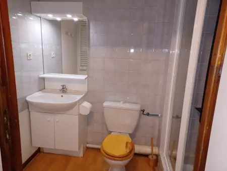 Studio 28 m² vue montagne à Brides-les-Bains, parking inclus : photo 11
