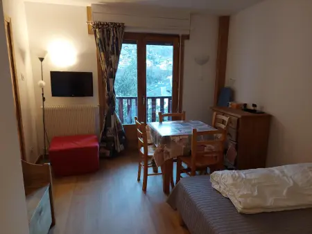 Studio 21 m² balcon vue montagne à Brides-les-Bains : photo 12
