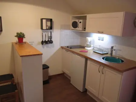 Studio 29 m² balcon sud, parking couvert à Brides-les-Bains : photo 3