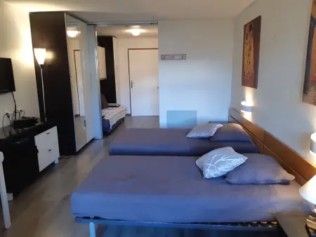 Studio confortable 28m², 4 pers, animaux admis, parking, wifi - Photo 1