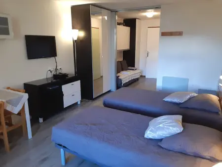 Studio confortable 28m², 4 pers, animaux admis, parking, wifi - Photo 10