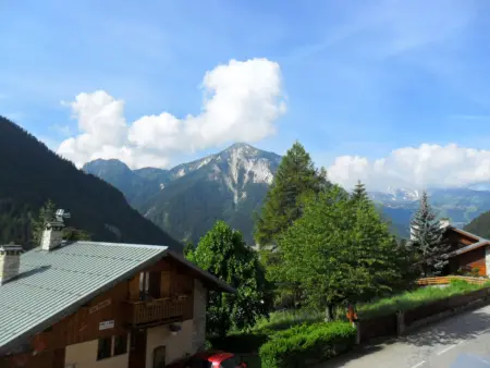 Le Roselin - Appartement 6 pers près des pistes : photo 8