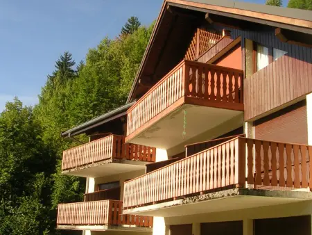 Studio 23 m² avec balcon sud-est à Champagny-en-Vanoise : photo 11