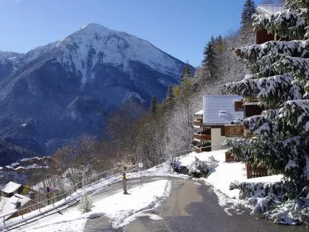 Studio 4 pers. avec balcon et vue, pieds des pistes à Champagny : photo 11