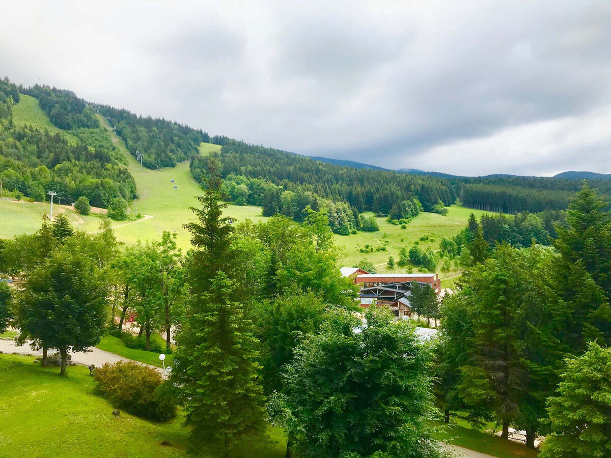 Appartement 43m² vue ski, double balcon à Villard-de-Lans - Photo 11