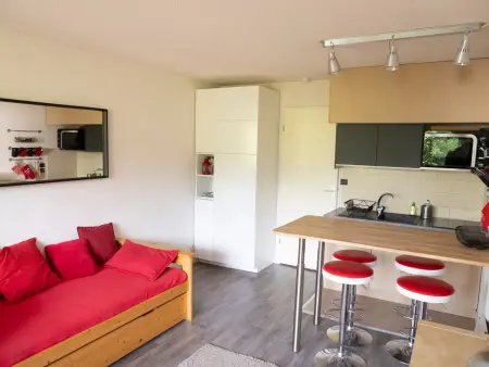 Studio cabine 29 m² avec parking à Villard-de-Lans : photo 4