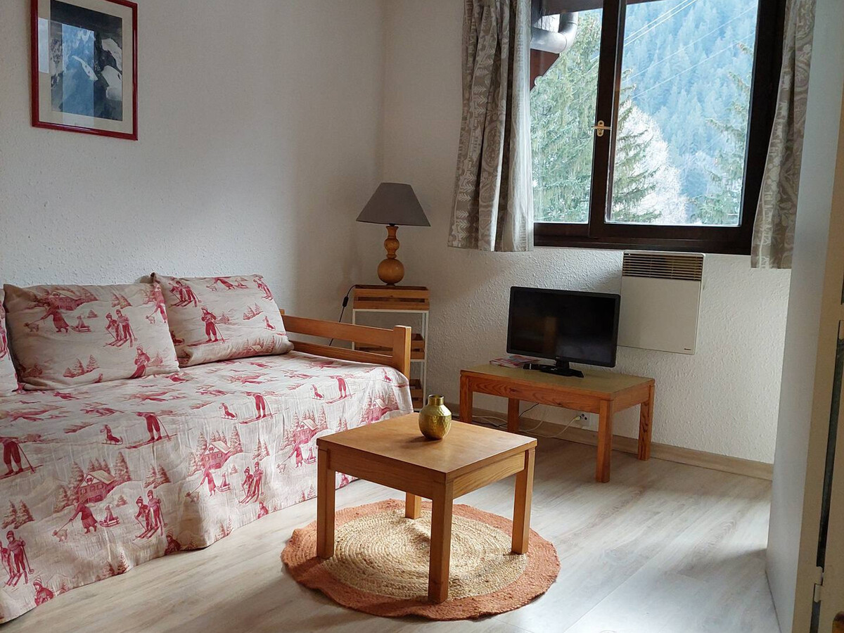 2 pièces Chamonix, balcon vue Aiguilles, parking - Photo 5