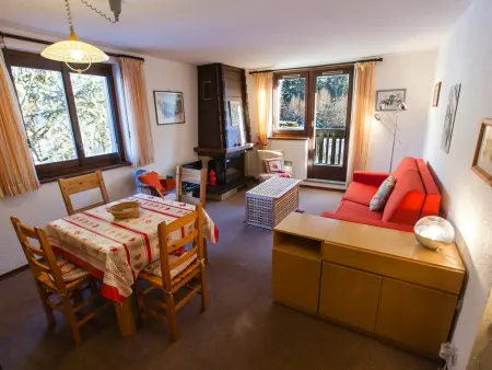 Appartement 40 m² vue Mont Blanc, balcon, parking - Chamonix : photo 4
