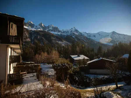 Appartement 40 m² vue Mont Blanc, balcon, parking - Chamonix : photo 5