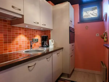 Appartement 40 m² vue Mont Blanc, balcon, parking - Chamonix : photo 6