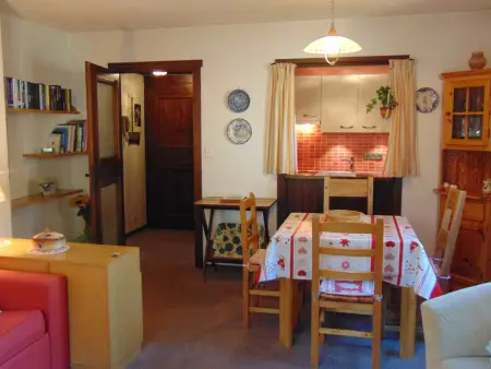 Appartement 40 m² vue Mont Blanc, balcon, parking - Chamonix : photo 10