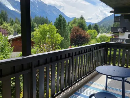 Appartement 40 m² vue Mont Blanc, balcon, parking - Chamonix : photo 11
