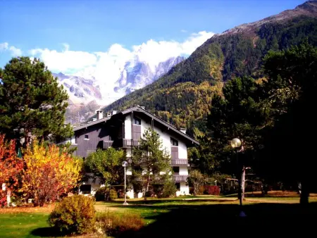 Appartement 40 m² vue Mont Blanc, balcon, parking - Chamonix : photo 12