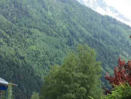 Studio 20m² Chamonix, vue Mont-Blanc, parking privé : photo 10