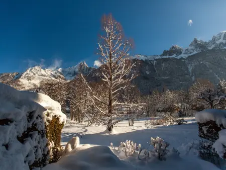 Duplex 3 pièces Chamonix, jardin vue Aiguilles : photo 14