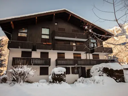 Duplex 3 pièces Chamonix, jardin vue Aiguilles : photo 16