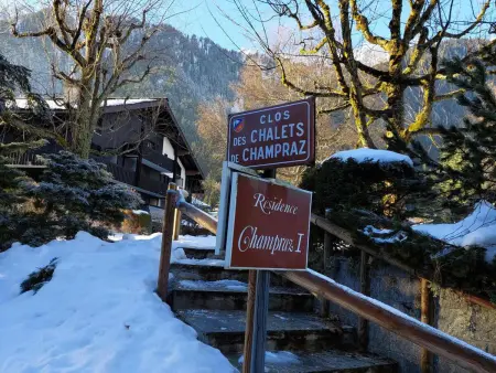 Duplex 3 pièces Chamonix, jardin vue Aiguilles : photo 17