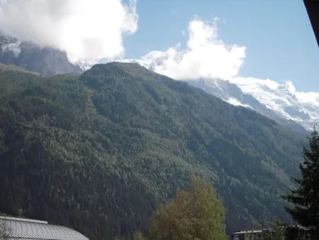 Appart 2 pièces Chamonix, vue Mont-Blanc, animaux OK : photo 5