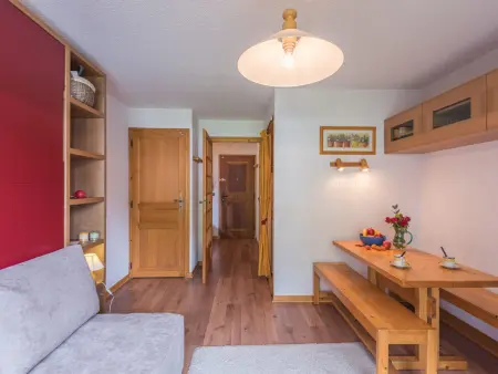 Studio 24m² balcon Sud-Ouest, vue Brévent à Chamonix : photo 7
