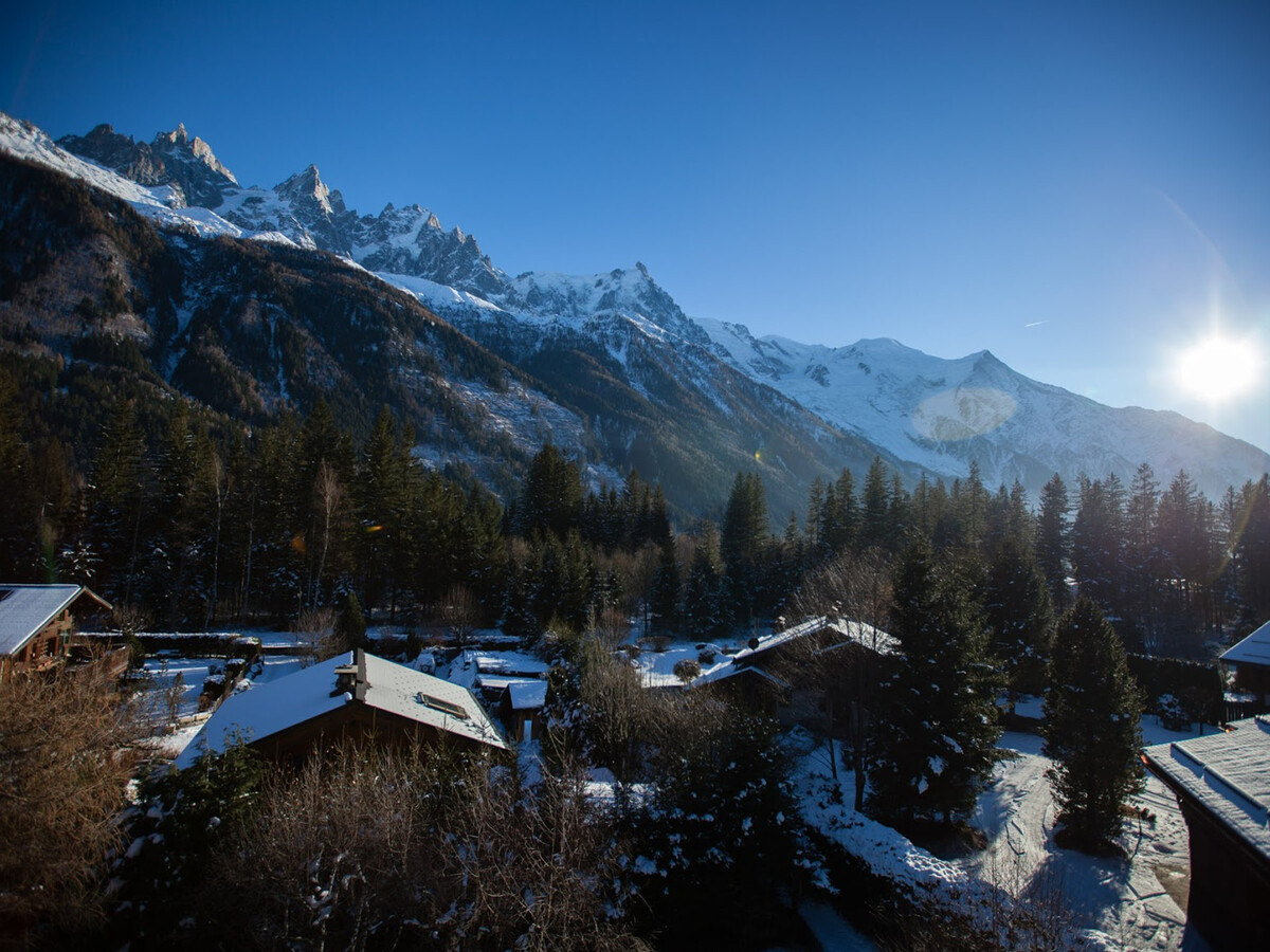 Studio 24 m² Vue Mont Blanc, Parking, Animaux OK - Photo 3