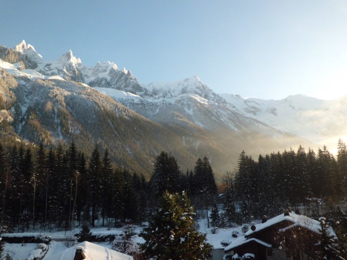 Studio 24 m² Vue Mont Blanc, Parking, Animaux OK - Photo 7