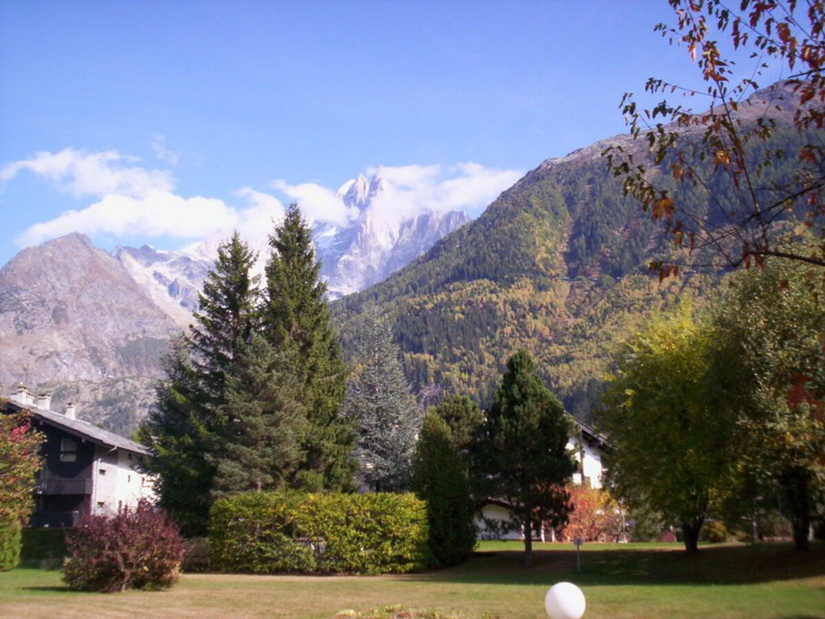 Studio 24 m² Vue Mont Blanc, Parking, Animaux OK - Photo 9