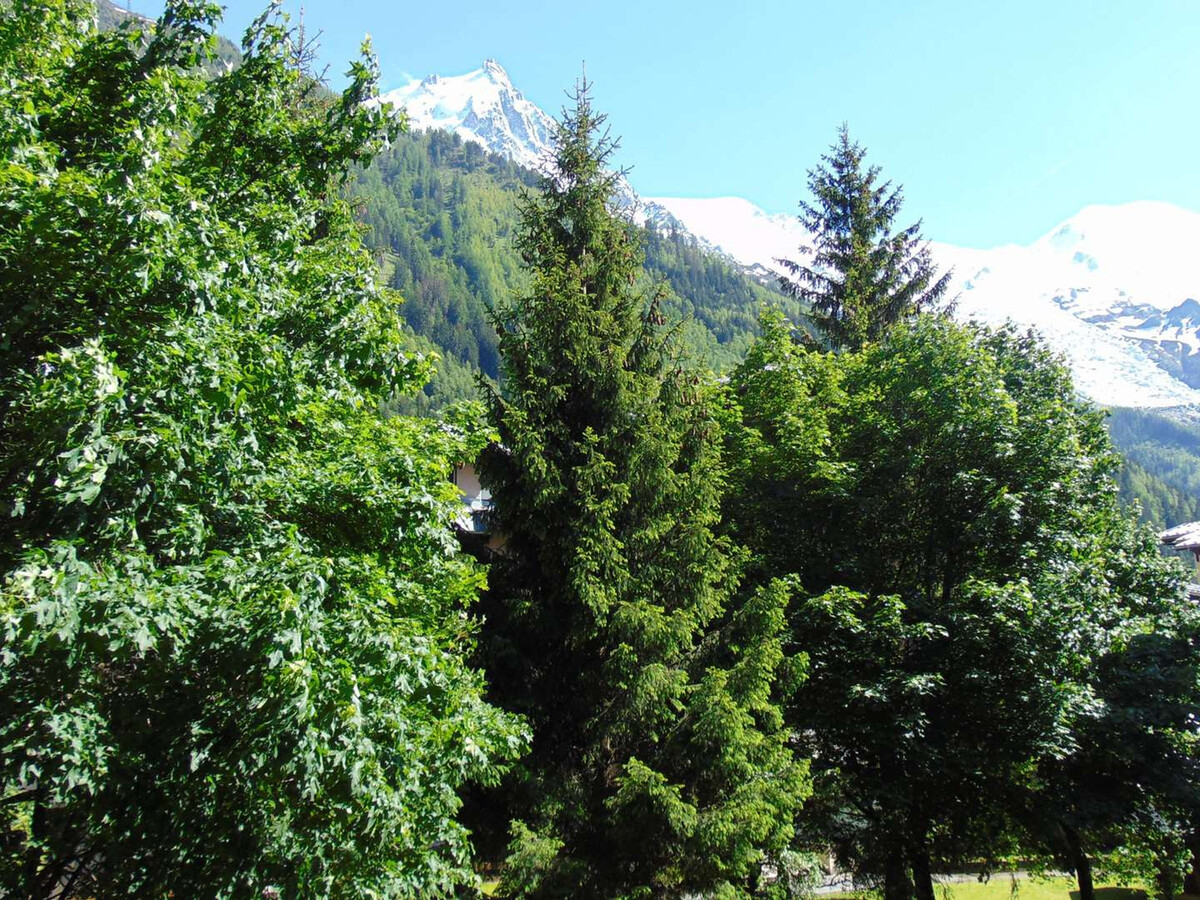 Studio 20m² Chamonix, balcon vue Mont-Blanc - Photo 10