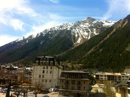 Appartement 2 pièces avec terrasse vue Drus - Chamonix : photo 3