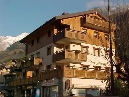Appartement 2 pièces avec terrasse vue Drus - Chamonix : photo 9