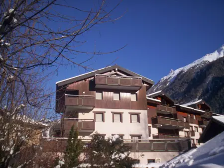 Appartement 2 pièces avec terrasse vue Drus - Chamonix : photo 10