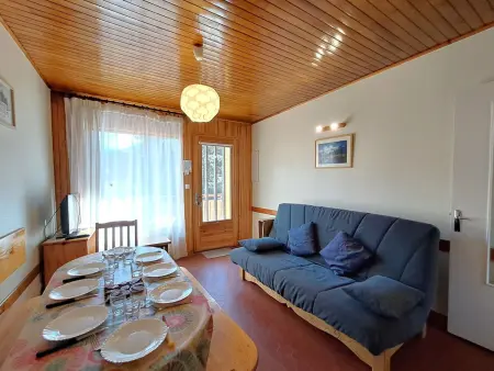 Appartement 8 pers aux Deux Alpes, balcon sud, près pistes : photo 3