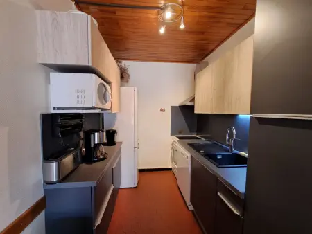 Appartement 8 pers aux Deux Alpes, balcon sud, près pistes : photo 4