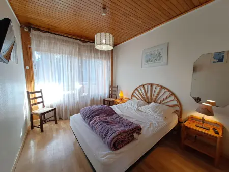 Appartement 8 pers aux Deux Alpes, balcon sud, près pistes : photo 8
