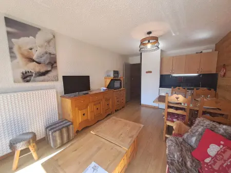 Studio 30m² balcon sud vue pistes, Les Deux Alpes : photo 3