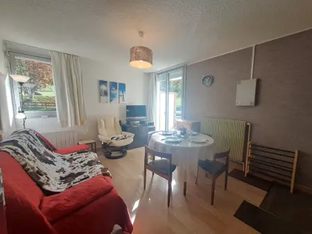 Appartement 2 pièces vue pistes aux Deux Alpes : photo 4