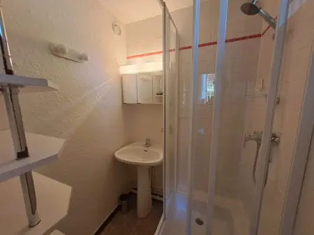 Appartement 2 pièces vue pistes aux Deux Alpes : photo 9