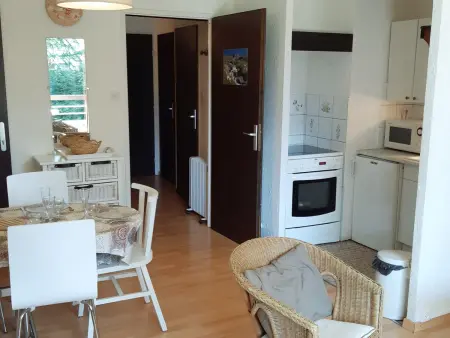 Studio 30m² balcon sud, 4 pers aux Deux Alpes : photo 5