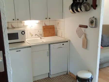 Studio 30m² balcon sud, 4 pers aux Deux Alpes : photo 6