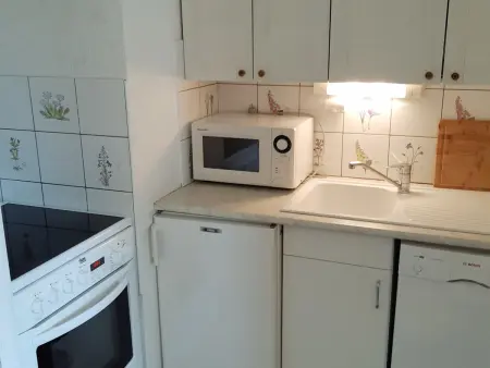 Studio 30m² balcon sud, 4 pers aux Deux Alpes : photo 7