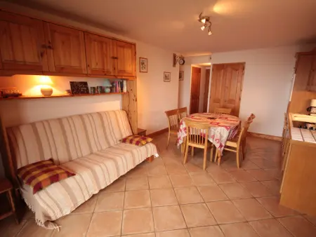 T3 45m² vue montagne, garage couvert, animaux OK : photo 5