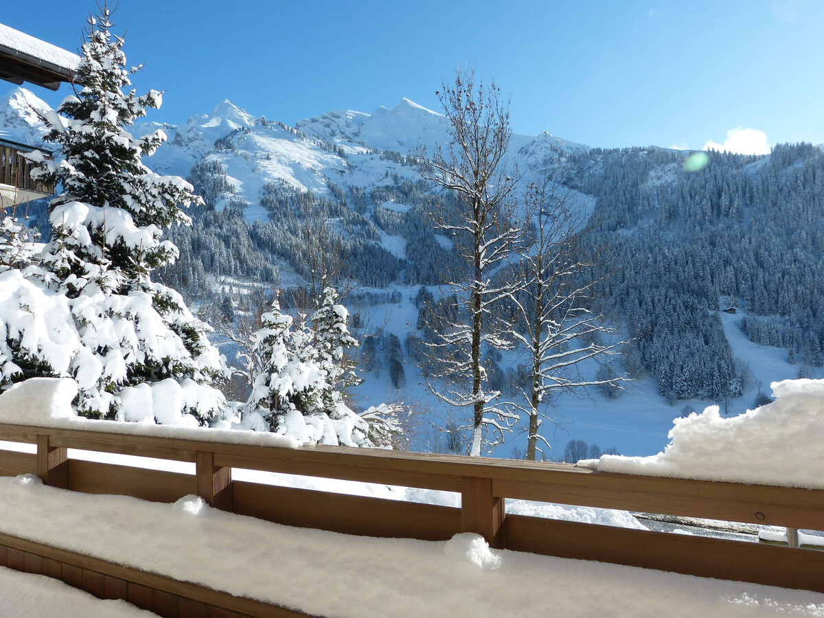 Appartement 3* Belrose, 8 pers, terrasse sud, La Clusaz - Photo 6