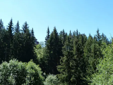 Appartement rénové 4 pièces pour 8 au coeur d'Arc 1800, animaux admis - Photo 3
