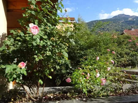 Appart 3 pièces rénové, terrasse 25m² Sud Ouest à Bourg-Saint-Maurice : photo 10