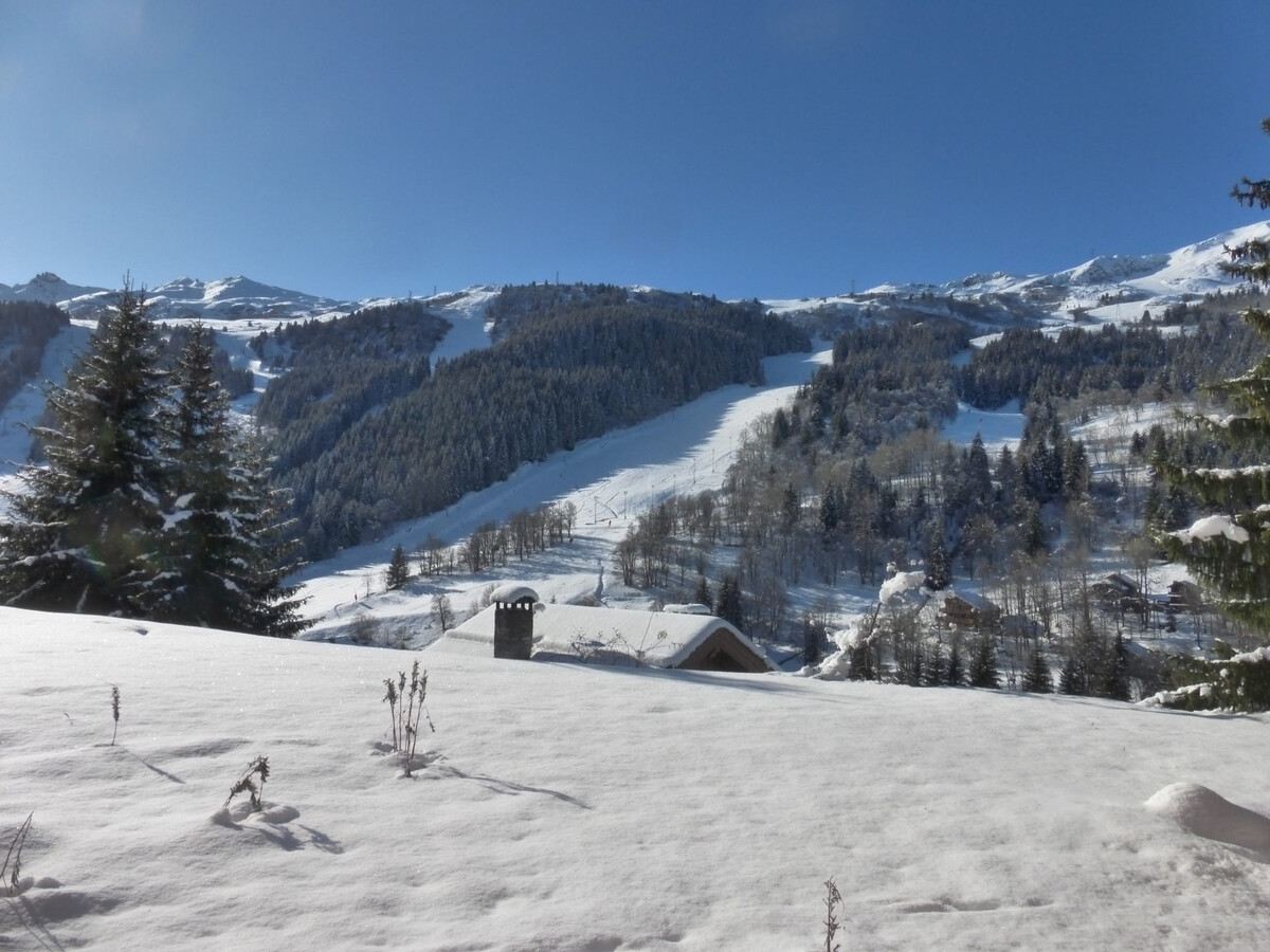 Appartement 2 pièces ski-in/ski-out, terrasse sud, Méribel - Photo 3