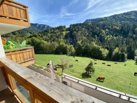 Appt 5 pers, balcon sud, garage à Saint-Jean-de-Sixt : photo 16