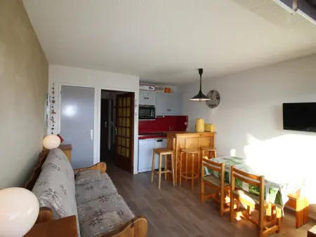 Studio cabine 4 pers aux pistes, vue Écrins - Auris : photo 3