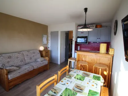Studio cabine 4 pers aux pistes, vue Écrins - Auris : photo 6
