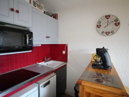 Studio cabine 4 pers aux pistes, vue Écrins - Auris : photo 7